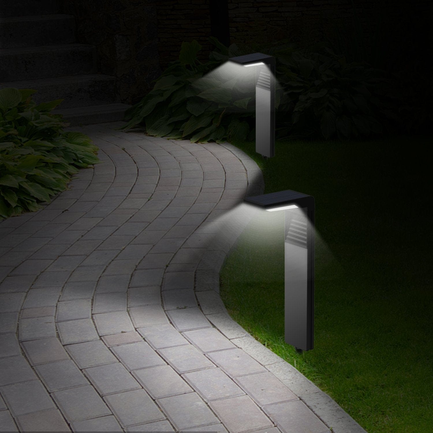 Sunny Energy Solution Premium Outdoor Solar Garden Lights - White Light